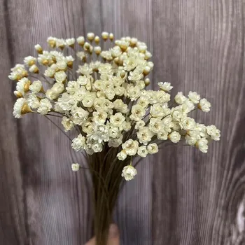 Около 150 бр./корона 0,6-1 см, истински сушени натурални бели малки Звездни цветя, Сухи Мини-букет Ромашек за бижута от смола, домашен декор